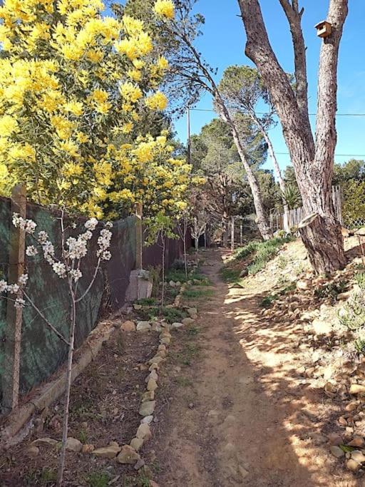 Montséret Villa Entiere Bellevue - Balneo - Piscine - Clim מראה חיצוני תמונה